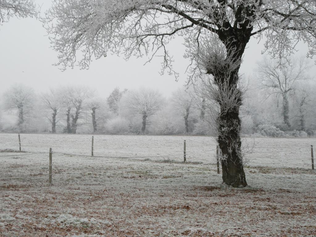 Les Gites D'Emilie Melesse Bagian luar foto